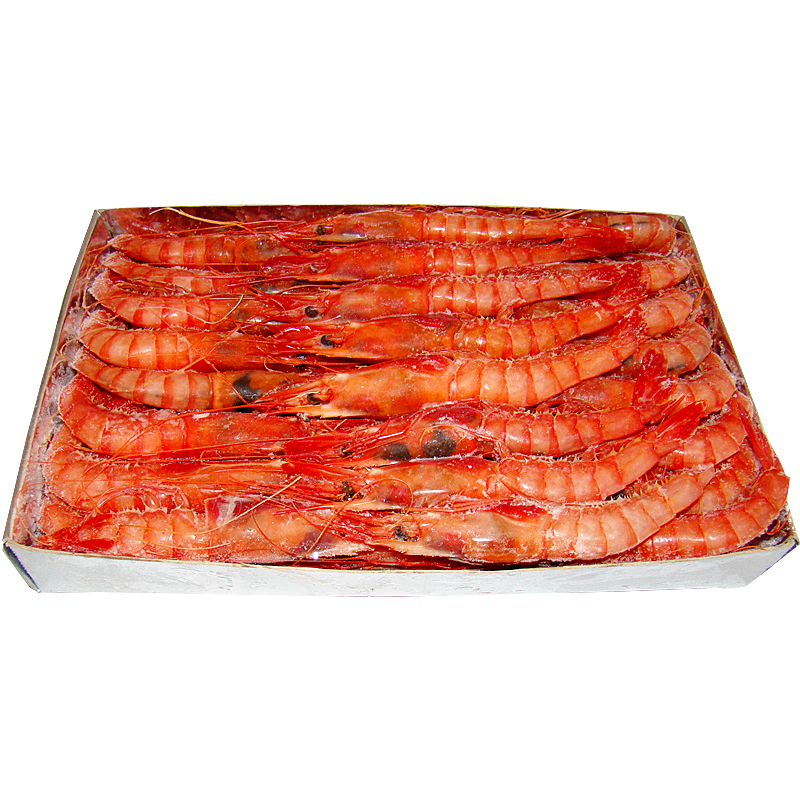 GAMBA ALLISTADA -A-(48-58)3 CARABELAS 12/1Kg.apx.