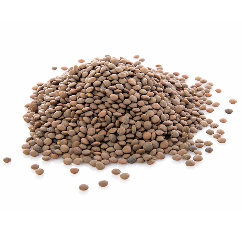 LENTEJA PARDINA ECO BOLSA 4/5Kg