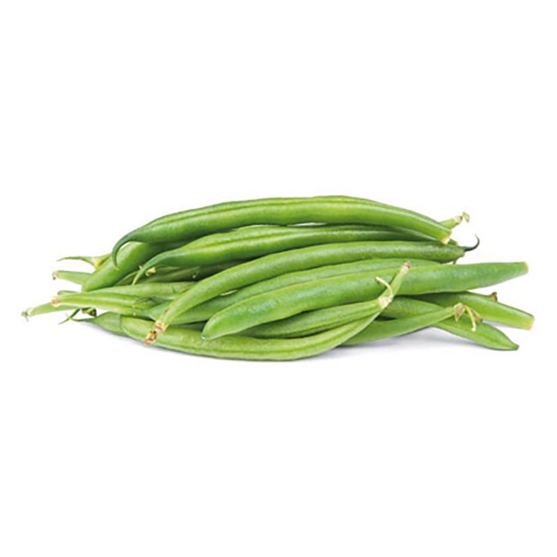 MONGETA ROD. SENCERA MOLT FINA 4/2.5Kg