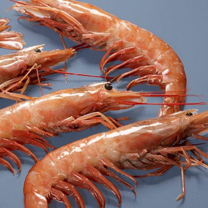 GAMBA ARGENTINA A BORD N1(10-20)6/2kg