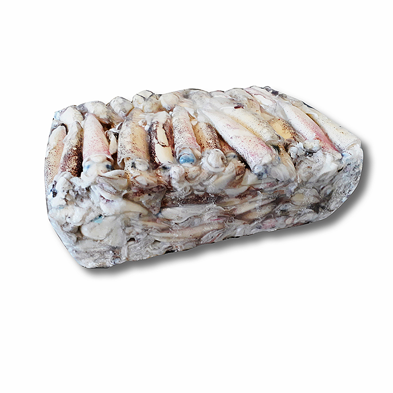 CALAMAR PATAGÒNIC 4LL(12-16cm)5kg.apx