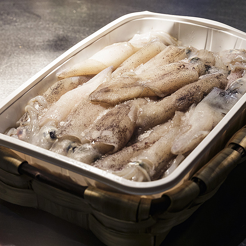 CALAMAR PATAGÓNICO (10-12cm) 5Kg aprox.