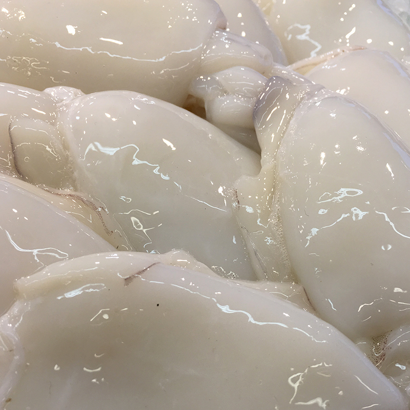 SÍPIA ÍNDIA-M-(5-7)25% 6kg.