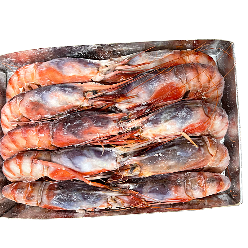 GAMBA COSTA MARRUECOS A1(18-20) 10/1Kg aprox