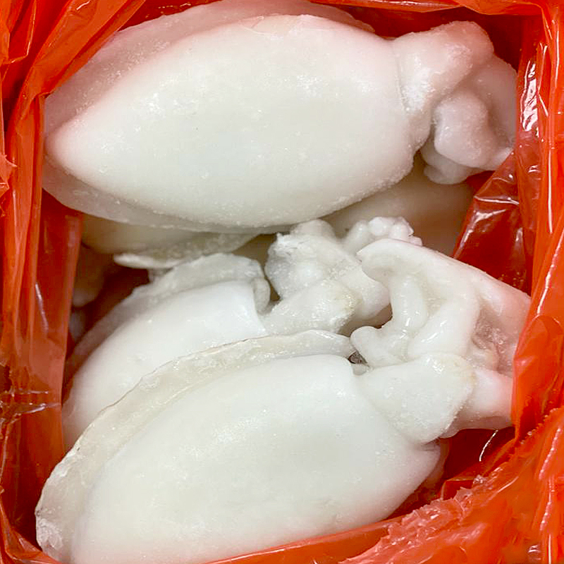 SÍPIA INDIA 1-2  15% 6Kg