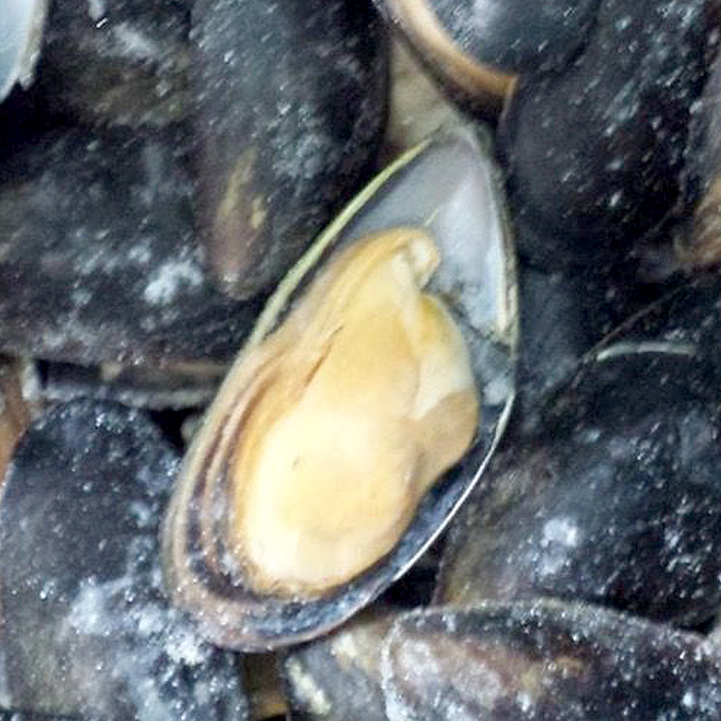 MUSCLO 1/2C. XILE 10%(80-100)8Kg.