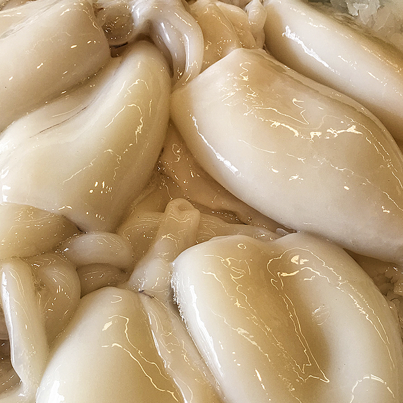 SÍPIA INDIA NETA calibrada 200-300(4p/kg apx) 20% 8Kg