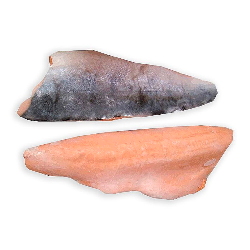 SALMÓN FILETE KETA PBO(800-1.5)25% 10Kg