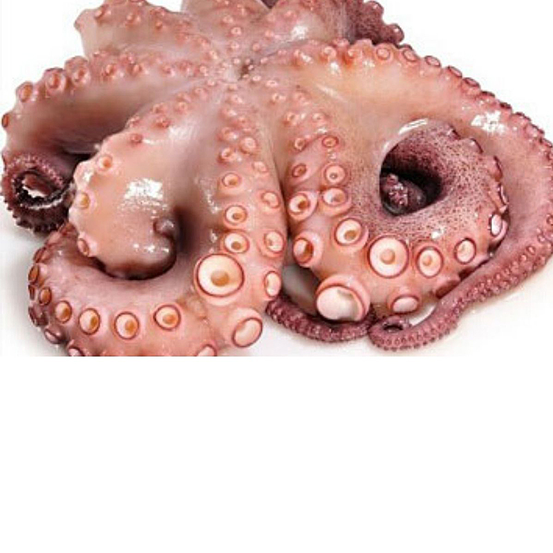 POP CRU.MARR.T1(4-5k)C.2/14Kg apx