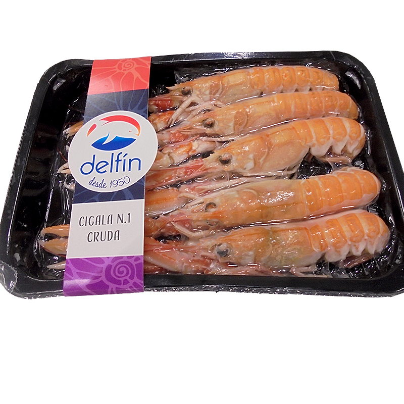 CIGALA N1 SKIN 10/300gr