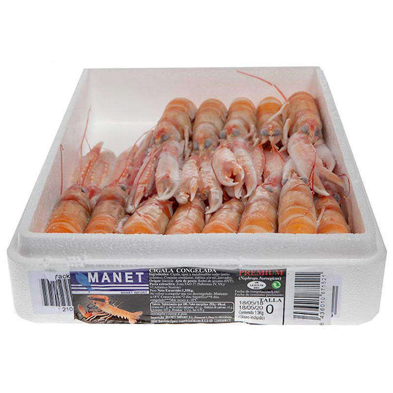 CIGALA ESCOCIA N0(8-10) 1.350k 4/1.5Kg