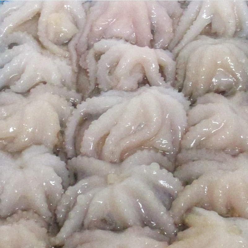 POPET INDI 20-40 20%  6/1kg