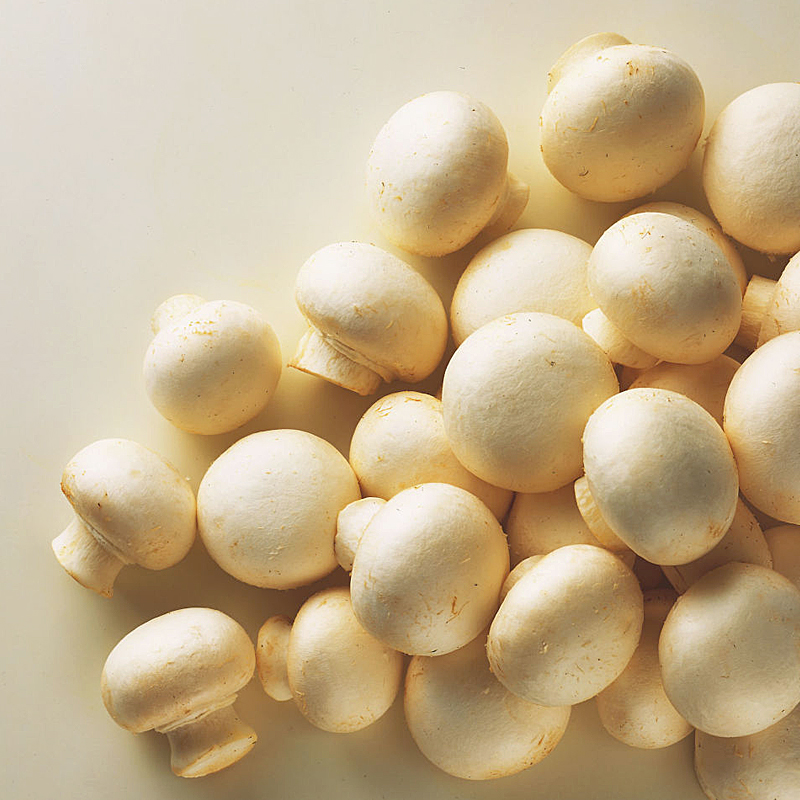 XAMPINYÓ SENCER 10/1Kg