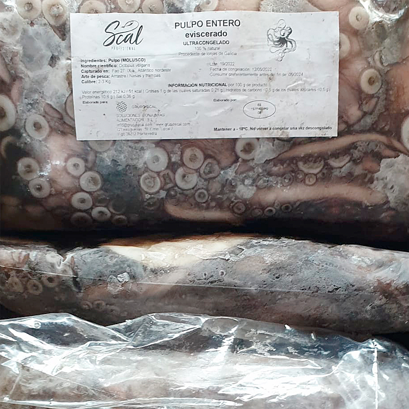 PULPO 2-3K (5-6u/caja) ENVUELTO INDIV. GALICIA SCAL 12Kg apx