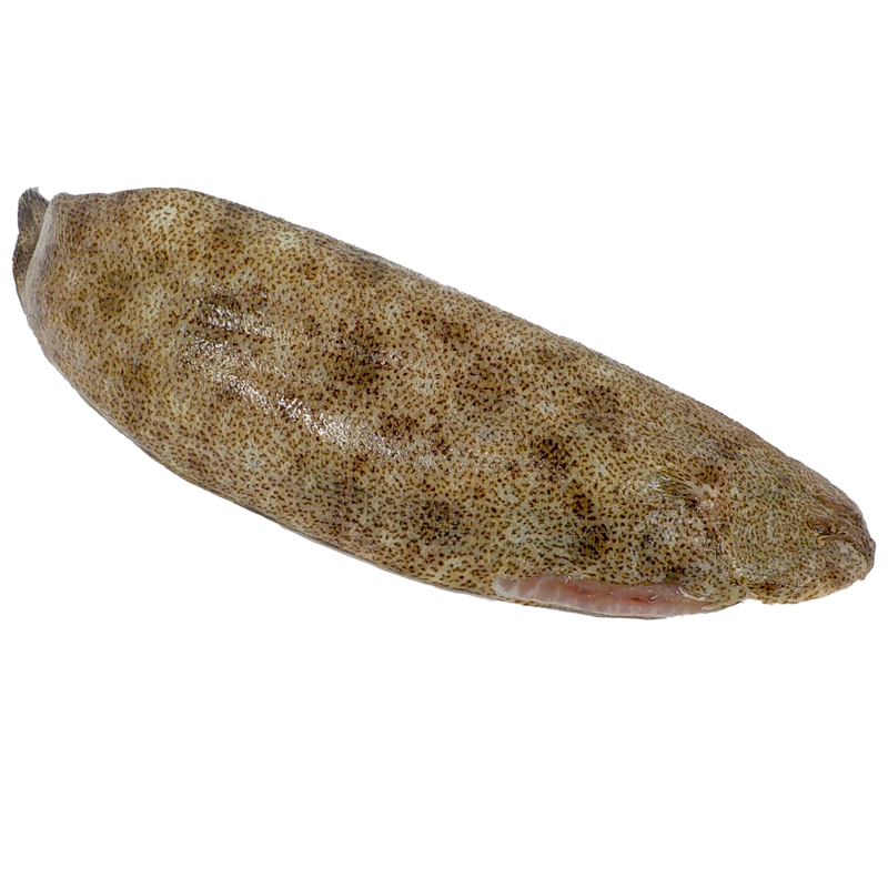 LLENGUADO 