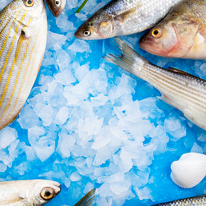 VARIS PESCA SALADA-FUMATS X KILO