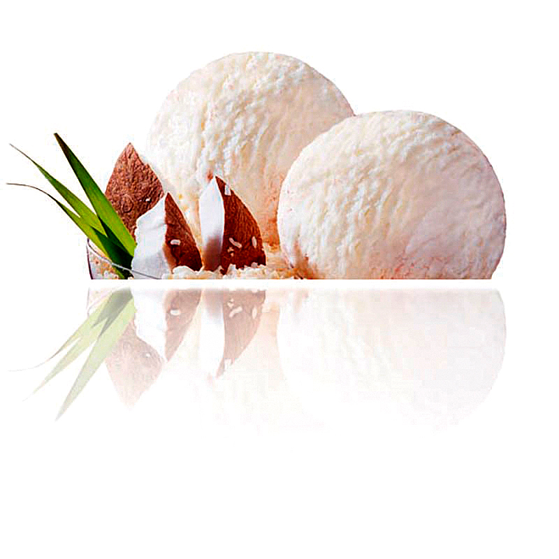 BANDEJA ARTESANA COCO 2/2,4L