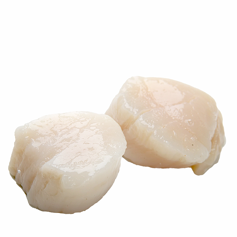 VIEIRA CARNE SIN CORAL U-10 10/1Kg.