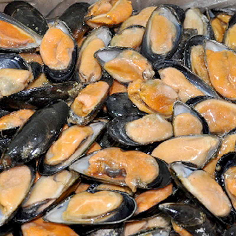 MUSCLO 1/2C. XILE 10%(80-100)9Kg.