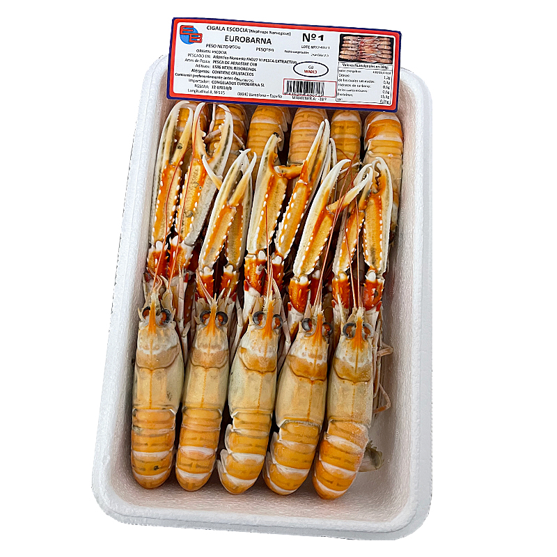 ESCAMARLÀ ESCÒCIA CONG.VIU N1(11-15) 0% PN 4/1Kg