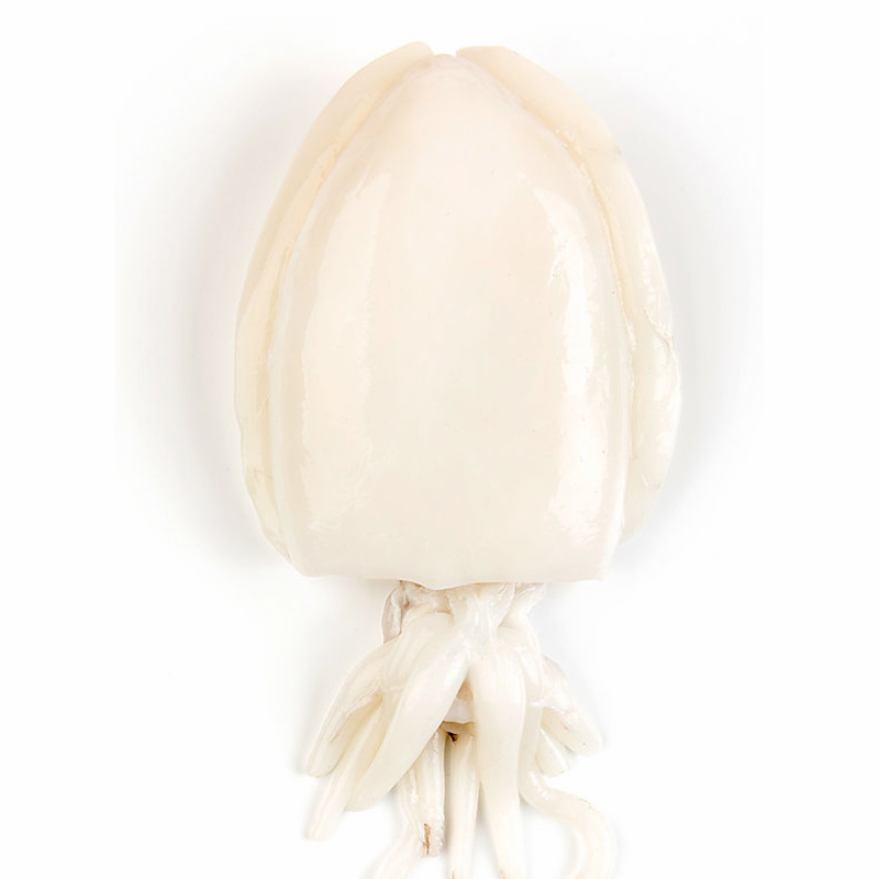 SEPIA LIMPIA IQF (5-7)20% 6/1Kg