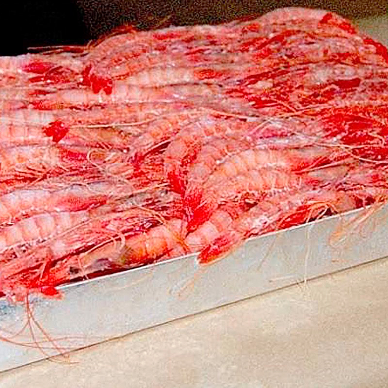 GAMBA ALISTADA N1E (36-40) 3 CARABELAS 12/1Kg.apx.