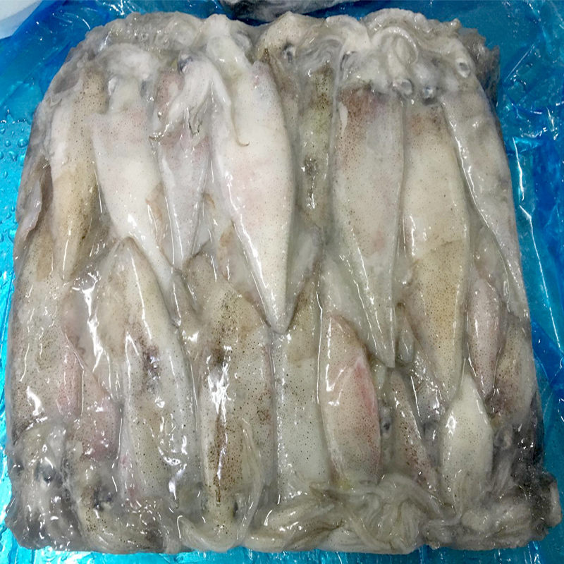 CALAMAR PATAGÒNIC  SENCER  (10-12cm) 0% C.5kg