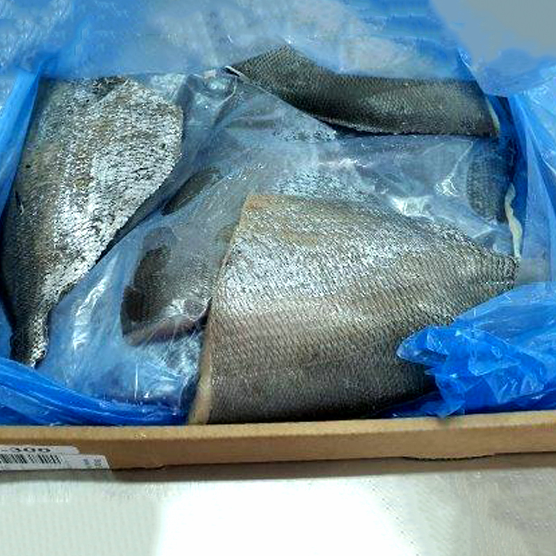 PALOMETA(Reineta) FILET AUSTRAL A/PELL 200-300 2/5Kg apx