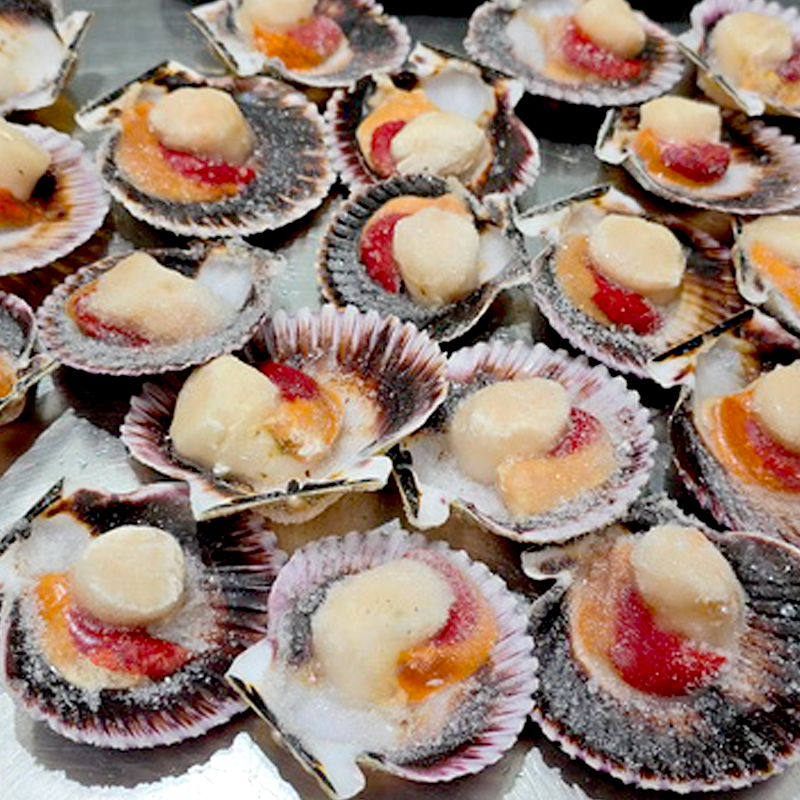 VIEIRA(Zamburiña)1/2 CLOSCA 20-30p/kg 0% 6/1kg