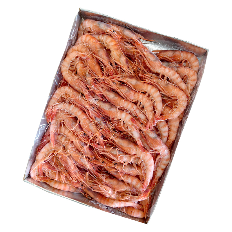 GAMBA ALISTADO TUNEZ N5 60/80 12/1kg