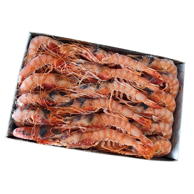 GAMBA ALLISTADA 1E (30-38)12/1Kg apx
