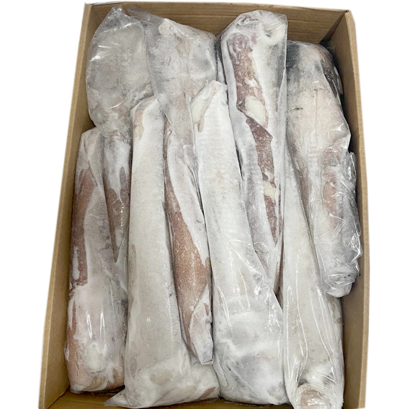 CALAMAR MARRUECOS ENV.-G-(31-36 cm) 12Kg.