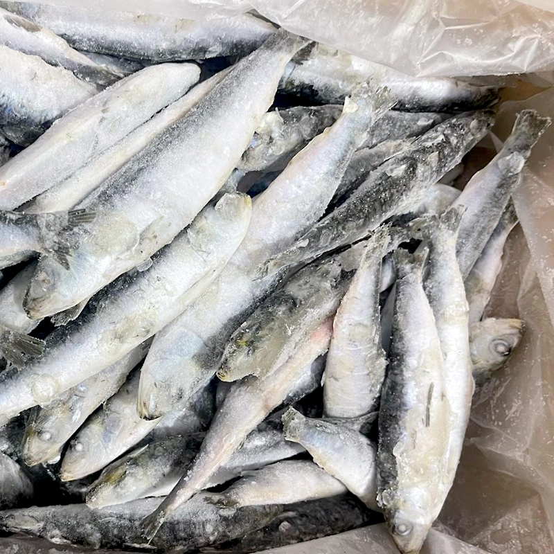 SARDINA SENCERA (20-30 p/k) 0% 5kg