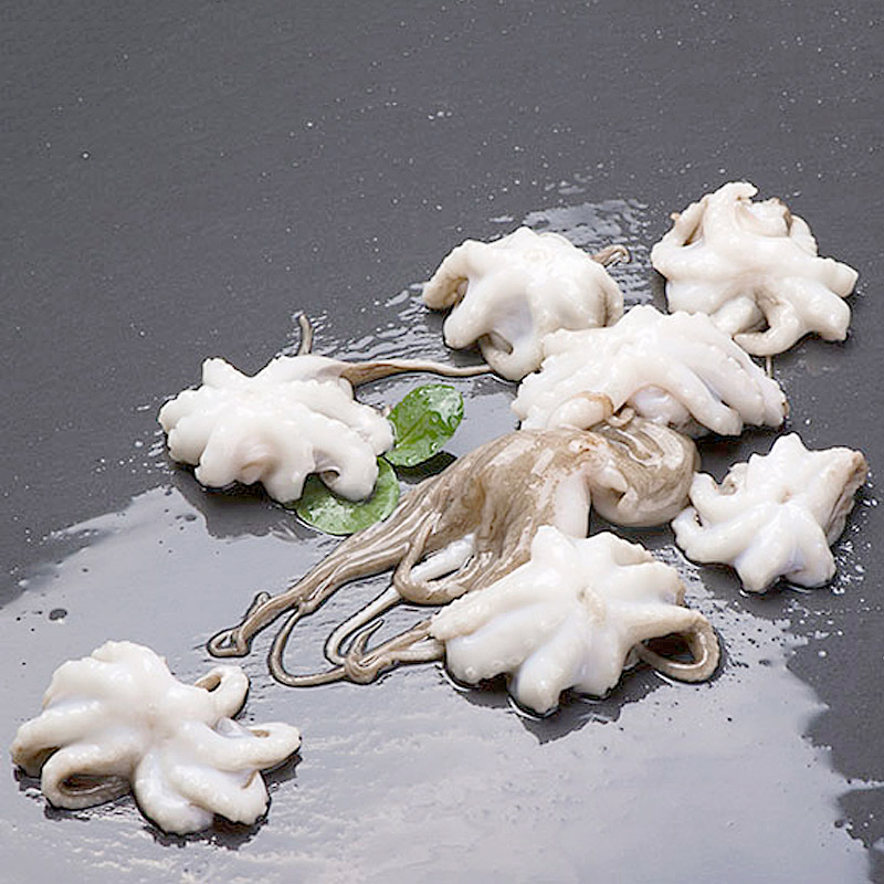 PULPITO VIETNAM 1P(20-40) 25% 5/1kg.