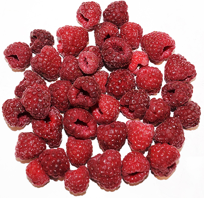 GERD SENCER IQF 5/1Kg