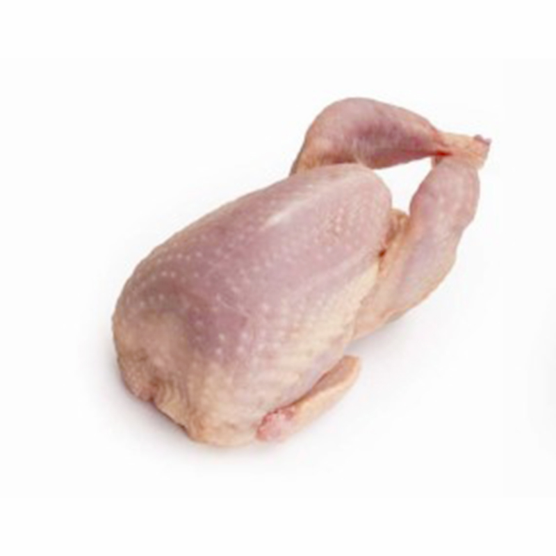 GUATLLA SENCERA GEGANT (130-150) 20/Pack 4 peces