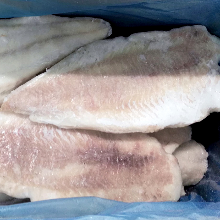 FOGONER FILET S/PELL (500-1000) EXTRA 10% C.10 Kg