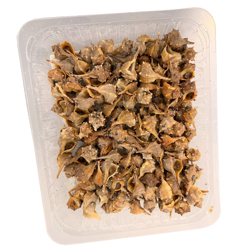 CARACOL DE MAR (CAÑAÍLLA) COCIDO 4/1Kg