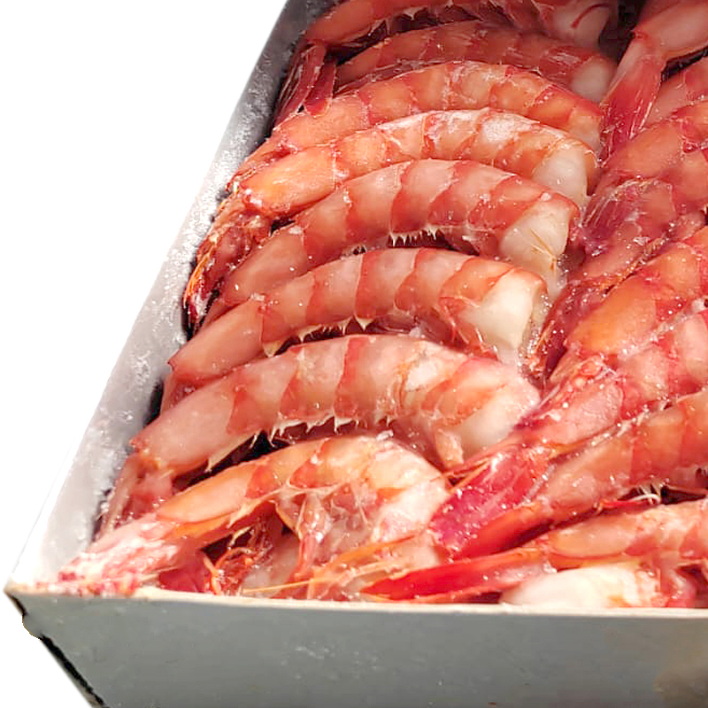 COLA GAMBA ALISTADA CON PIEL N1 6/2Kg apx