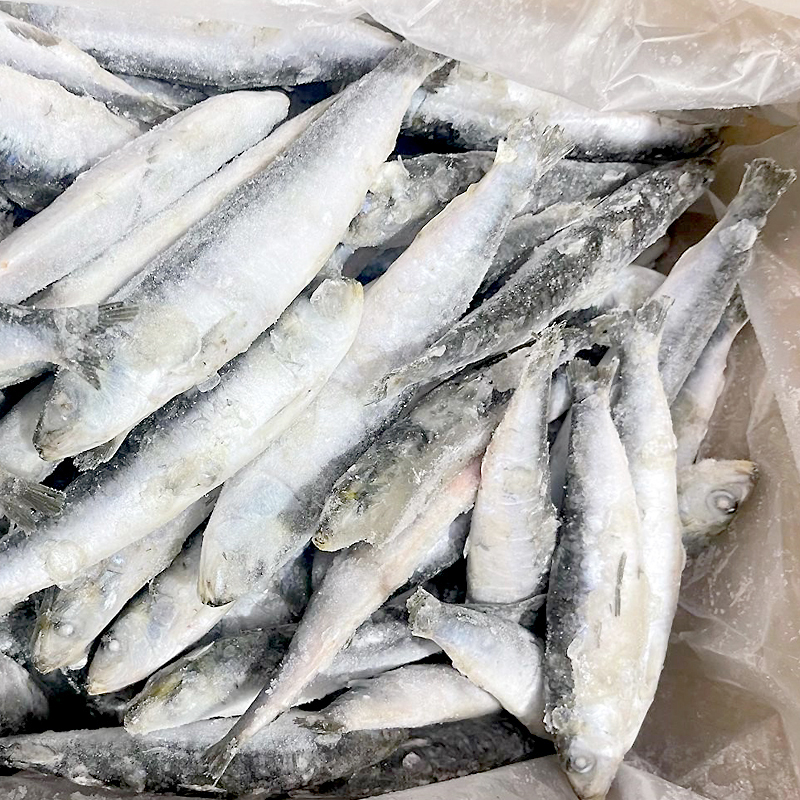 SARDINA SENCERA (10-25 p/k)C.6Kg