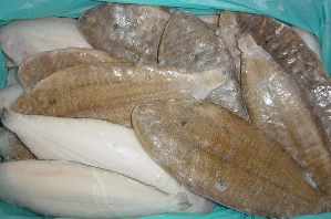 LLENGUADO HOL.N3(230-280)30% C.5Kg