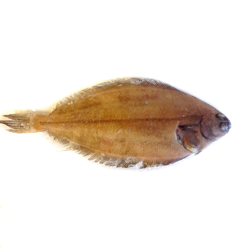 GALLO- MENDO EVS.C/P20%IQF(100-300g)10Kg