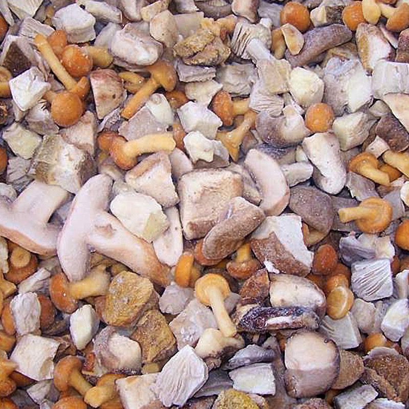 SETAS REVUELTO HTL 6/1Kg.