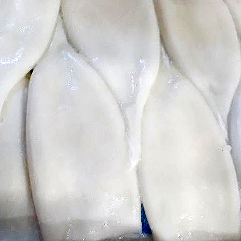 POTA TUBO (Illex)Intf.(21-23cm)5% C.7Kg