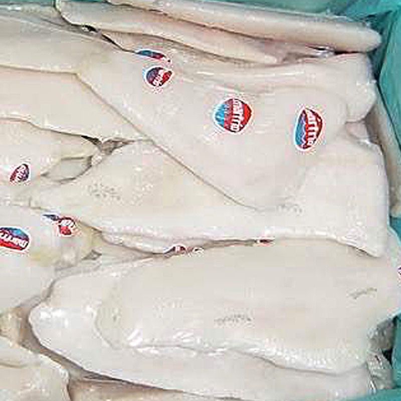 LLUÇ FILET S/P-H-20%(70-160)5kg.