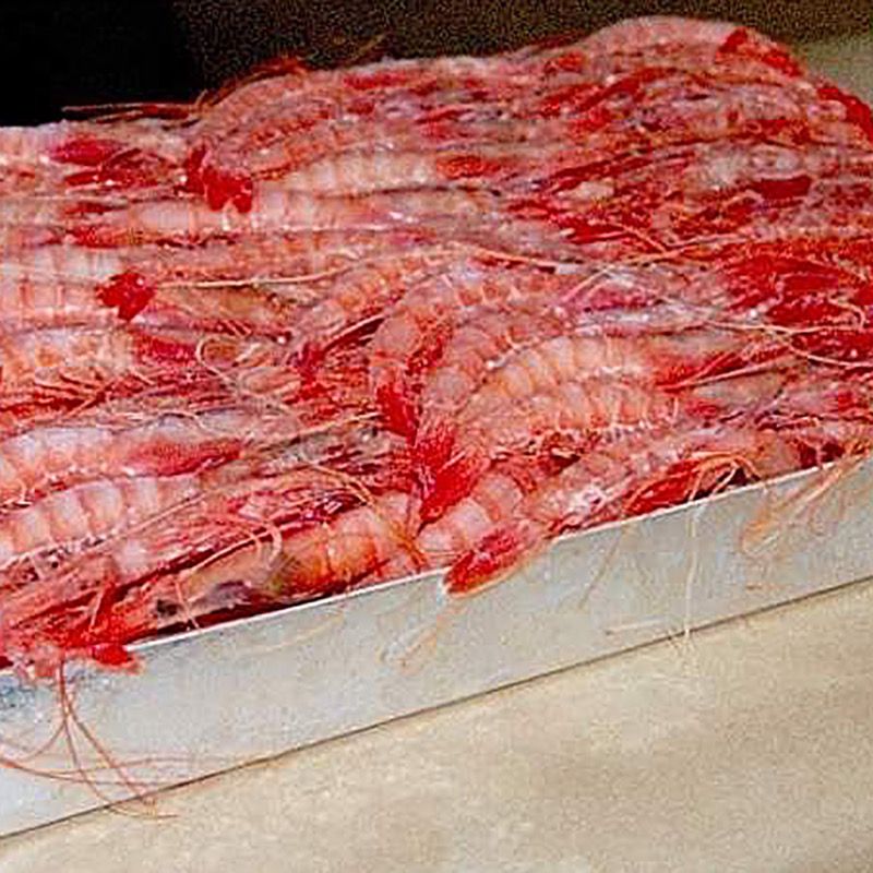 GAMBA LLISTADA N1(38-46)3 CARABELAS 12/1Kg.apx.