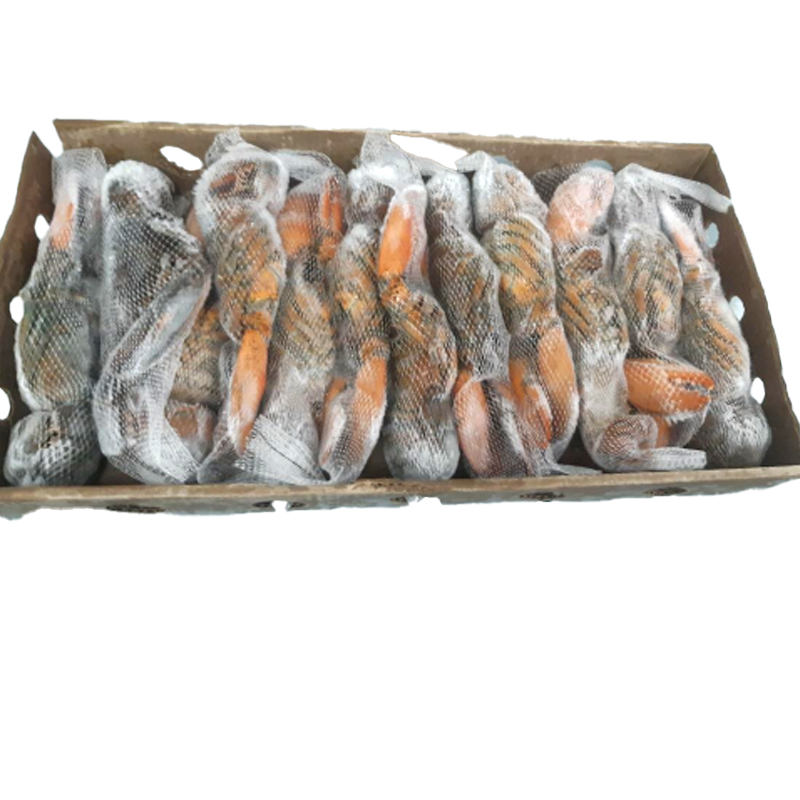 BOGAVANTE CANADA(400-450)10% C.5Kg