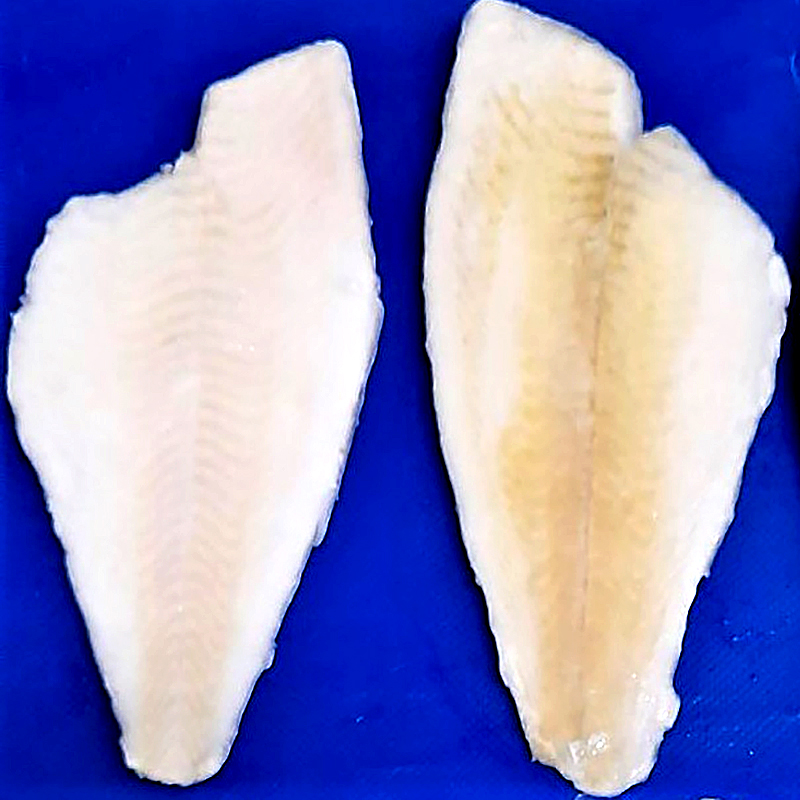 LIMANDA FILET S/P S/E(80-120) 25% 6/1k