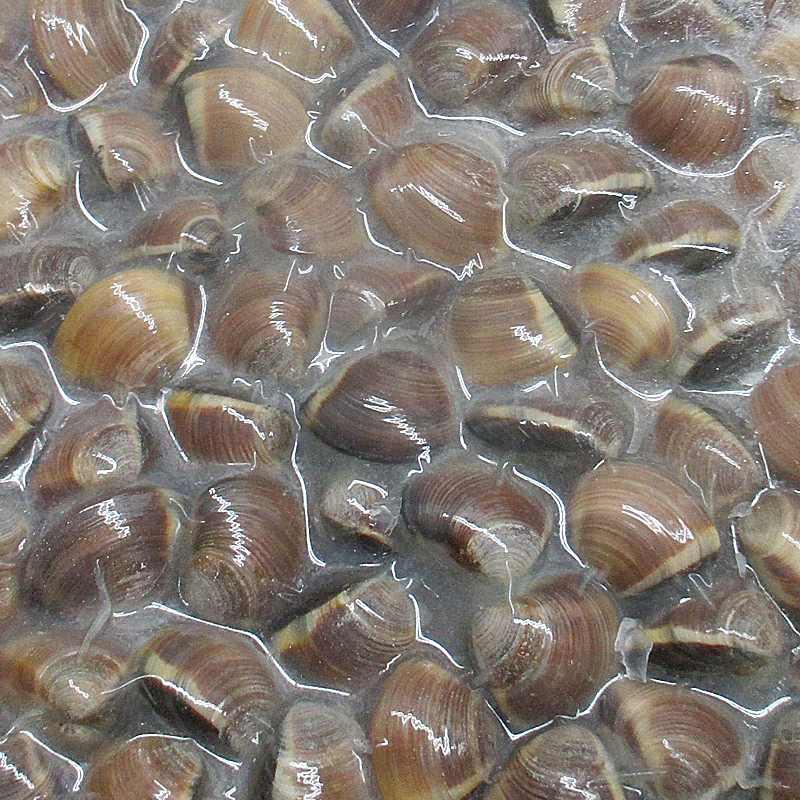 CLOÏSSA MARRÓ 60-80 (buit) 6/1k