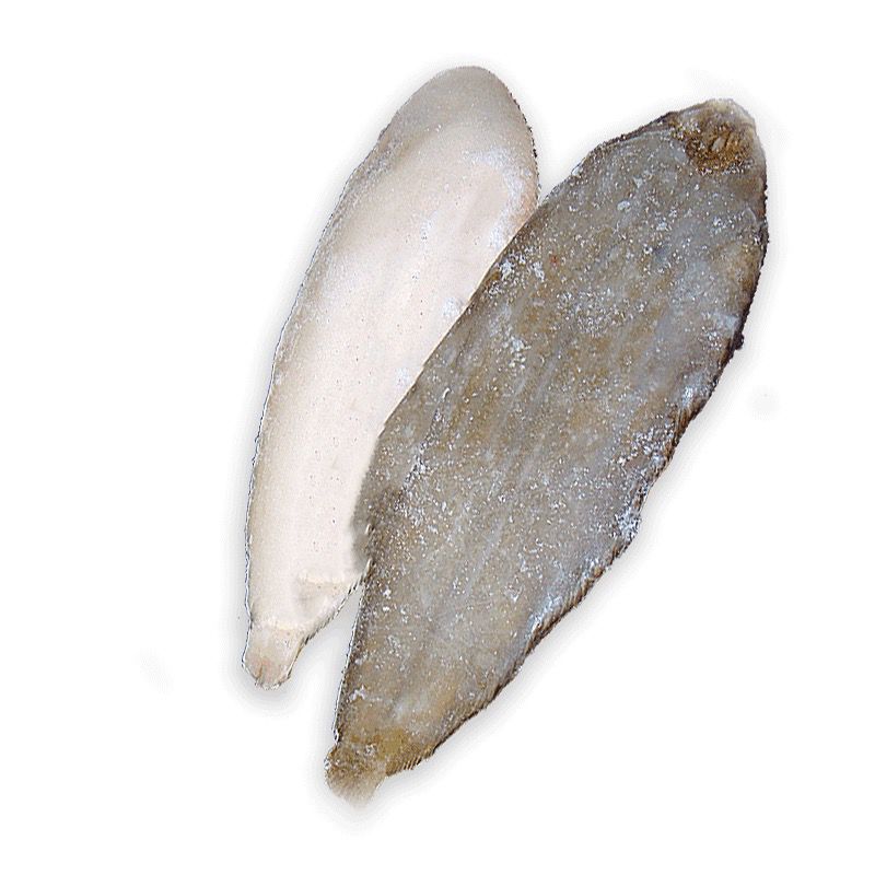 LLENGUADO HOL.N4(170-220)30%5kg